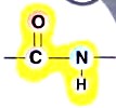 Niyə zülalların, nuklein turşularının, karbohidratların və lipidlərin molekulları yalnız hüceyrədə biopolimer sayılır?