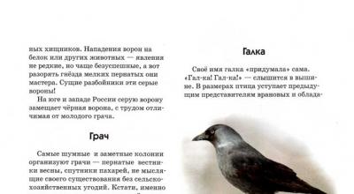 Энциклопедия владельца птицы